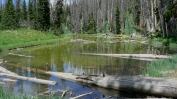 PICTURES/Alpine Pond Nature Trail - Cedar Breaks National Monument/t_Alpine Pond1.JPG